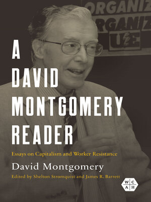 cover image of A David Montgomery Reader